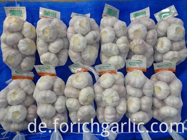 New Fresh Garlic